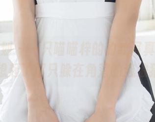 紧急企划 – 一只喵喵梓的豹纹写真,让我又想起了那只躲在角落的流浪猫!